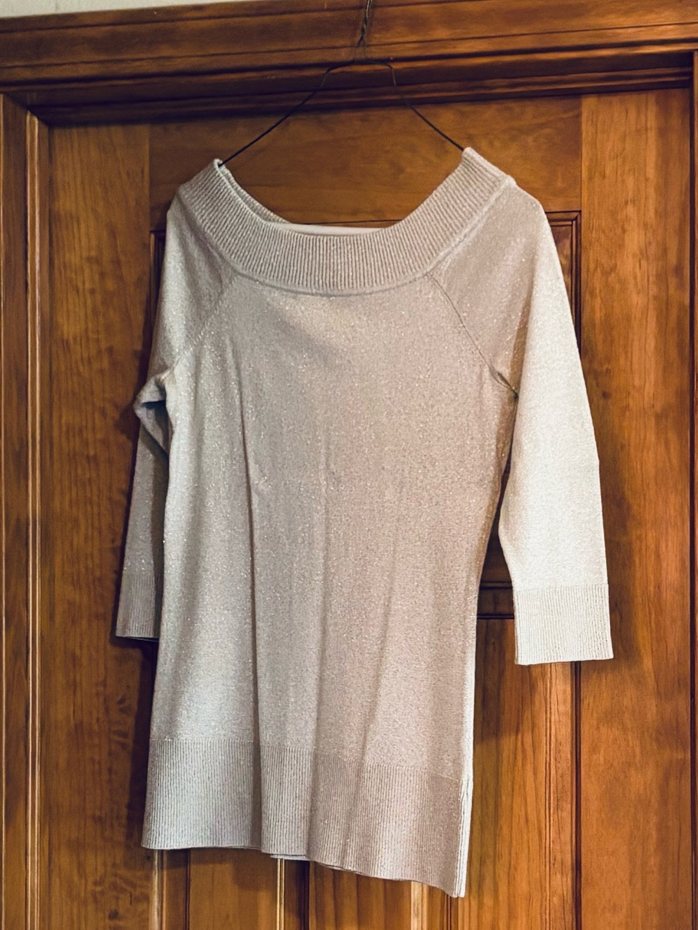 Sparkle Boatneck Knit Top in Light Champagne